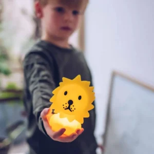 Mr Maria Lion Bundle of Light^Kids Other | Toys