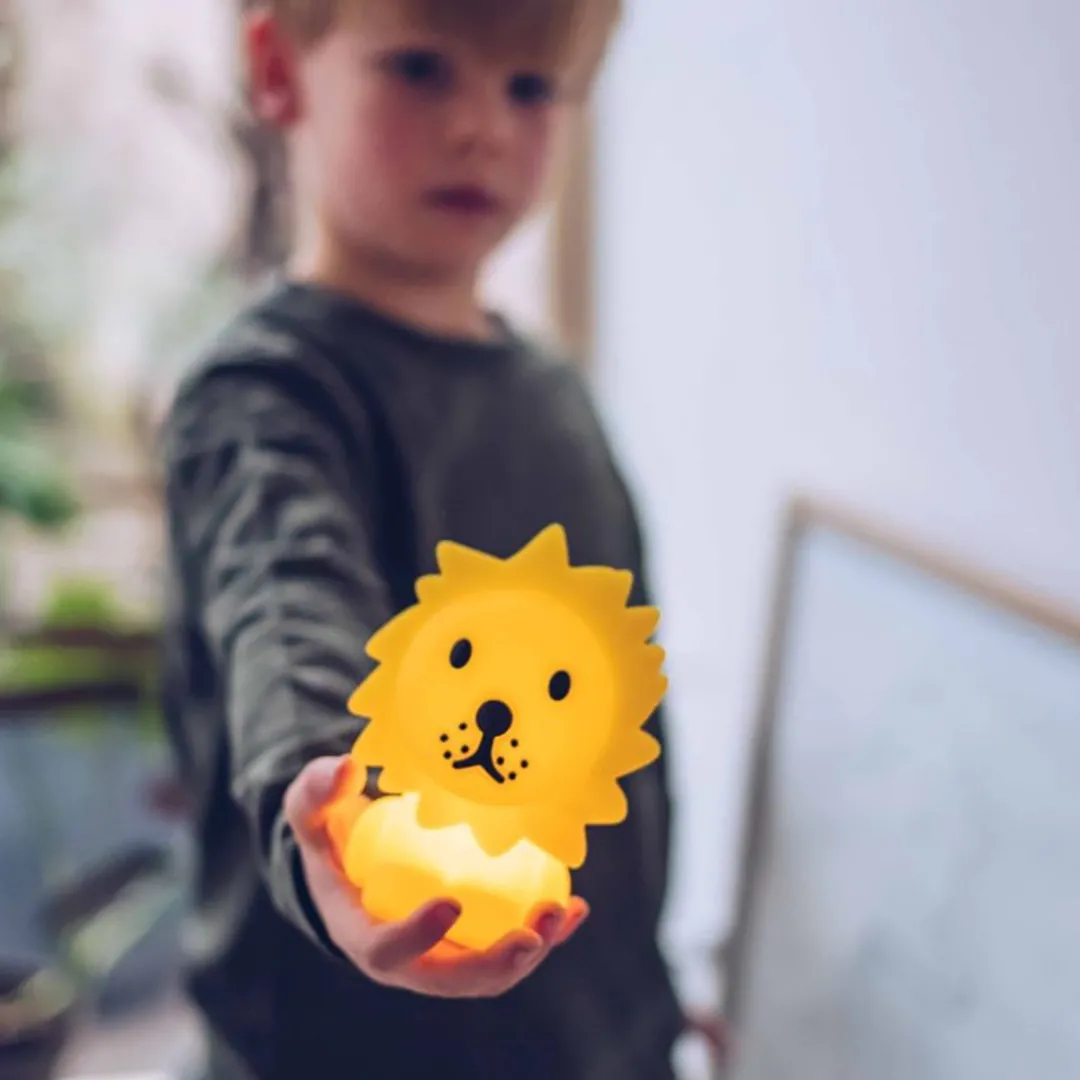 lion_bundle_of_light_1.webp Mr Maria Lion Bundle of Light^Kids Other | Toys