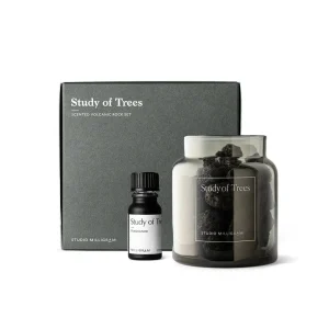 Milligram Scented Volcanic Rock Set / Study of Trees^ Gifts Under $100 | Gifts For Her