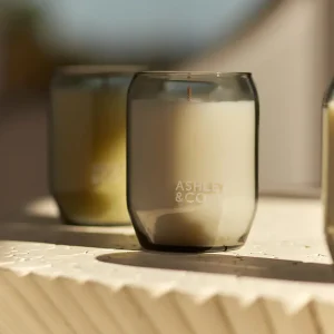 Ashley and Co Waxed Perfume Candle Tui and Kahili^ Candles / Candleholders